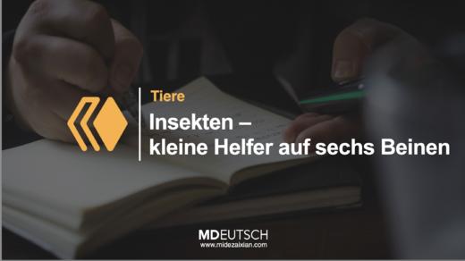 45.【环境】昆虫的重要性 商品图0