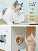 CatS猫爬架超大积木猫爬架剑麻通天柱猫架猫树猫窝储物柜送垫包邮 商品缩略图4
