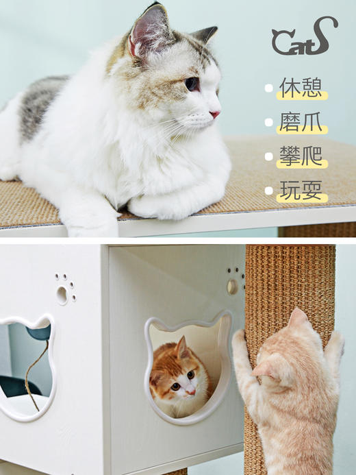 CatS猫爬架超大积木猫爬架剑麻通天柱猫架猫树猫窝储物柜送垫包邮 商品图4