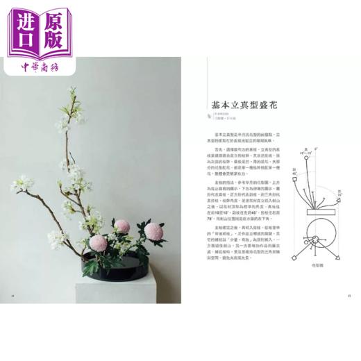 【中商原版】花日和 草月流的日式花艺提案 陈建成 喷泉文化馆 港台原版 商品图4