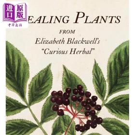 【中商原版】Tiny Folio系列 治愈植物 摘自 好奇的草药 英文原版 Healing Plants Marta McDowell 药用植物宝库