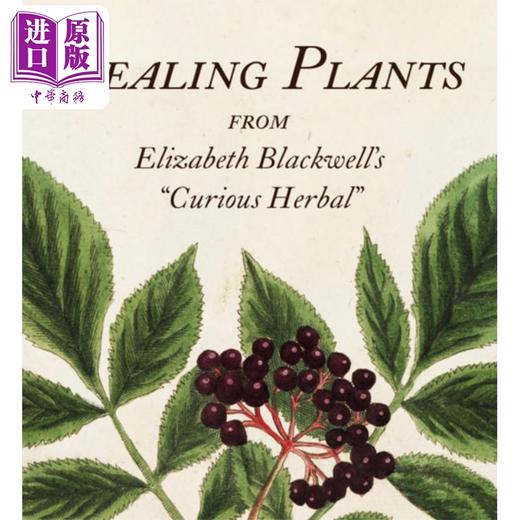 【中商原版】Tiny Folio系列 治愈植物 摘自 好奇的草药 英文原版 Healing Plants Marta McDowell 药用植物宝库 商品图0