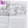 预售 【中商原版】羽翼传奇套装 Wingfeather Saga Boxed Set 英文原版 Andrew Peterson 现代小说 国际流行小说 奇幻小说 商品缩略图3