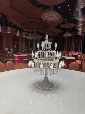 XY3020遥控24头蜡烛花器（运费自理）