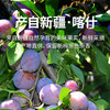 【新疆】西梅4斤（树上熟，酸甜多汁） 商品缩略图1