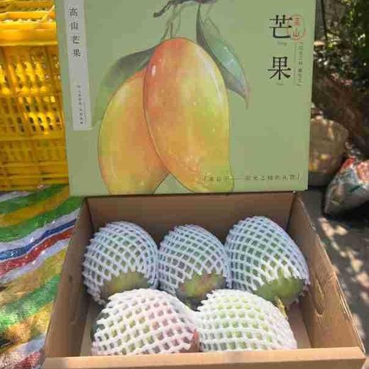 【节日礼盒】四川攀枝花凯特芒！甜美多汁、香气诱人！ 5斤新鲜甜糯大脸芒果应季水果Y 商品图3