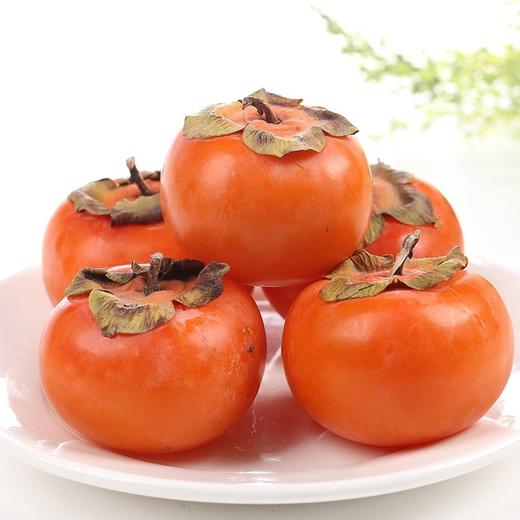 【甜蜜如汁！陕西火晶柿子】农家果园种植，皮薄肉质细嫩、汁多无渣、甘甜清香！产地直发当季应季水果小柿子火晶柿子Y 商品图3