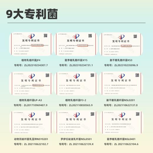 守护全家肠胃健康（成人1000亿+儿童200亿）活性益生菌套餐 国民品牌美力傲仙【呼啦优选】媒体渠道价 商品图5