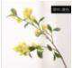 仿真桂花 商品图0
