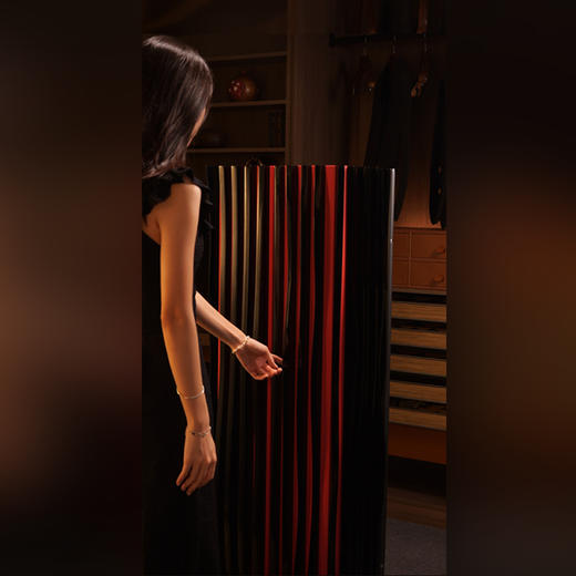 【留存道&OCS联名】法拉利概念珠宝柜 商品图4