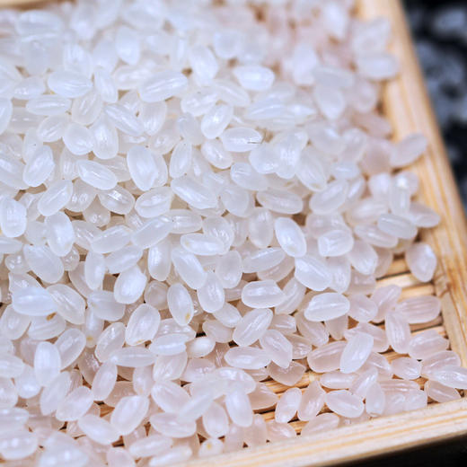 「5斤装！东北珍珠米」溢田东北大米圆粒米珍珠米寿司米2.5kg员工福利粮油米面 商品图3