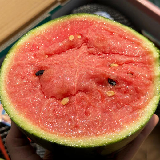 【酥脆爽口】小吊西瓜 约1500g/个 商品图2