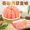 【翡翠般的果肉！泰国翡翠金柚】甘甜滋润/清爽解腻！个头饱满 皮薄肉厚 果香浓郁！ 肉质紧实 汁多味美！新鲜水果爆甜青黄皮柚子Y 商品缩略图0