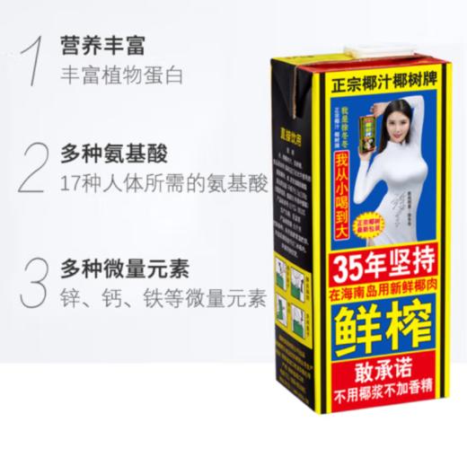 椰树椰汁 1L 商品图2
