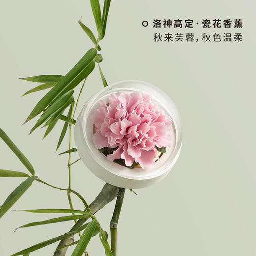 广诚行-木芙蓉陶瓷花香薰礼盒 商品图0