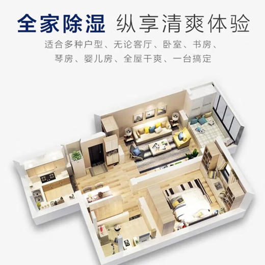 海尔除湿机12L/天 家用轻音卧室地下室档案室防霉吸湿器 干燥机干衣机抽湿机  商品图4