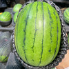 【酥脆爽口】小吊西瓜 约1500g/个 商品缩略图1