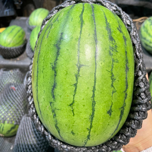 【酥脆爽口】小吊西瓜 约1500g/个 商品图1