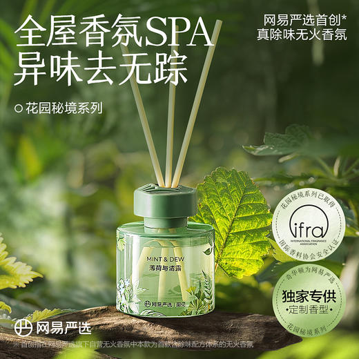 网易严选【重磅新品】居室除味香氛藤条扩香无火香薰 商品图0