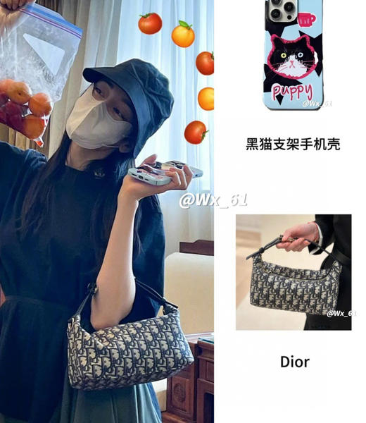 Dio r 老花Nomad饭盒包腋下包081203 商品图0