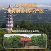 陈皮皮和朋友们陈皮卤花生 用陈皮煮花生 满满陈皮香更好吃 商品缩略图3
