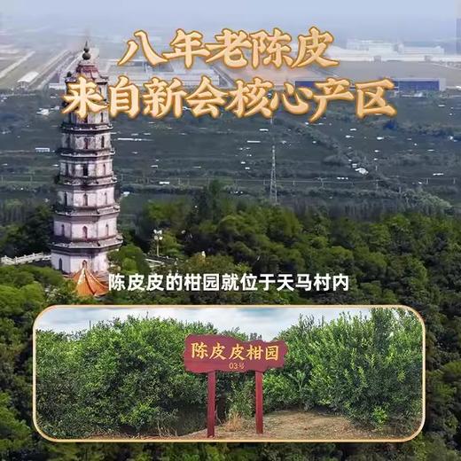 陈皮皮和朋友们陈皮卤花生 用陈皮煮花生 满满陈皮香更好吃 商品图3