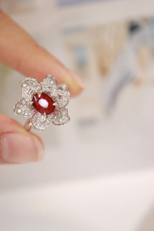 1.01ct 红宝石戒指 商品图3