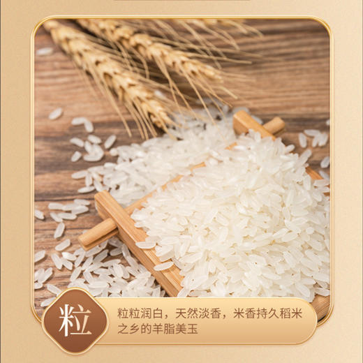 北大荒黑龙江五常大米  真空包装 5kg10斤装 优享价 商品图1