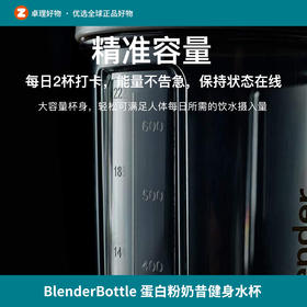 美国BlenderBottle摇摇杯健身水杯蛋白粉奶昔杯水杯运动摇粉杯子