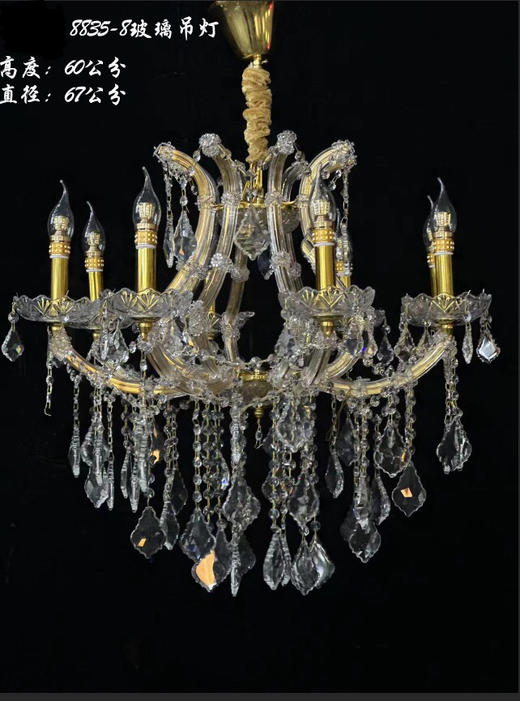 8835-8玻璃吊灯（运费自理） 商品图0