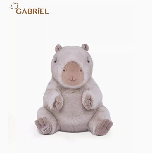 伽百利Gabriel卡佩（25cm） 商品图3