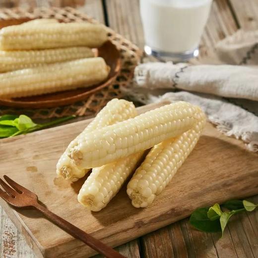 【香甜糯口！西双版纳拇指小玉米】个头虽小 口感美味 ！新鲜糯玉米蔬菜健康轻食玉米Y 商品图0