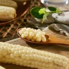 【香甜糯口！西双版纳拇指小玉米】个头虽小 口感美味 ！新鲜糯玉米蔬菜健康轻食玉米Y 商品缩略图1