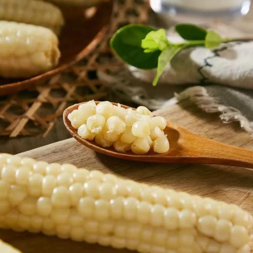 【香甜糯口！西双版纳拇指小玉米】个头虽小 口感美味 ！新鲜糯玉米蔬菜健康轻食玉米Y 商品图1