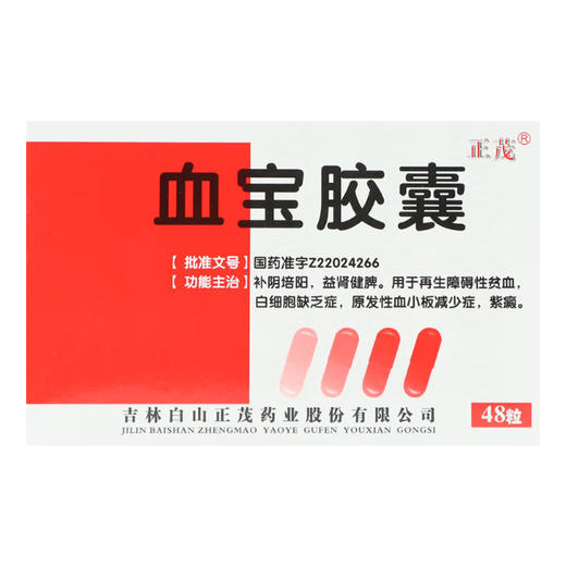 血宝胶囊，0.3g*12粒*4板， 商品图1