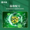 华畜蚊香养殖场专用兽用盘香畜牧蚊香猪场牛羊圈鸡舍驱蚊户外蚊香 商品缩略图4
