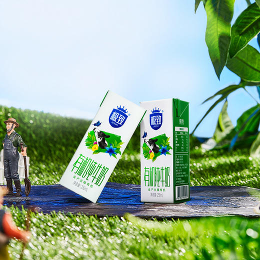 【快递到家-常温】苗条砖极致有机纯牛奶250ml*12盒 商品图6