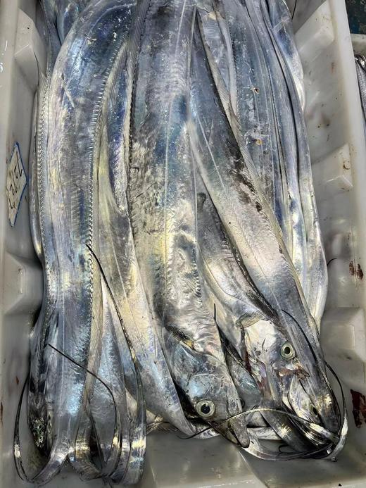 【预售第十轮，5号周五配送】2025舟山野生流网深海梭子蟹，极速送达保鲜不保活介意慎拍 商品图5