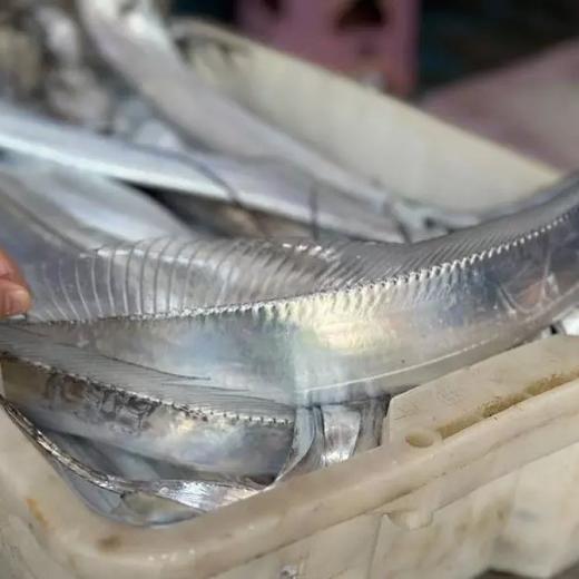 【预售第十轮，5号周五配送】2025舟山野生流网深海梭子蟹，极速送达保鲜不保活介意慎拍 商品图6