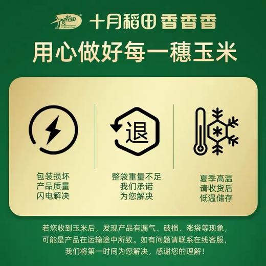 优选丨25年新玉米【香甜糯】东北糯玉米棒 8根装 近2个月内生产日期！软！糯！香！甜！ 商品图7