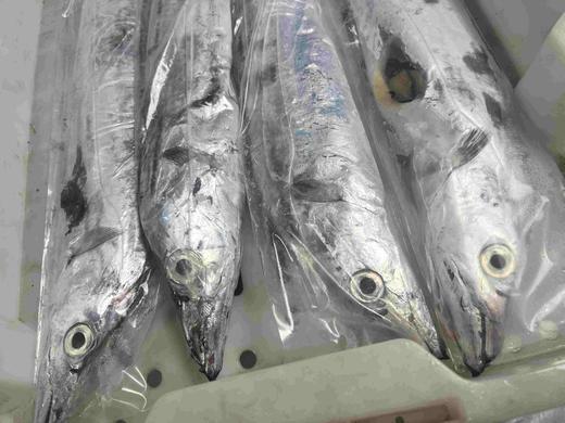 【预售第十轮，5号周五配送】2025舟山野生流网深海梭子蟹，极速送达保鲜不保活介意慎拍 商品图4