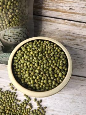 黑土地上的绿豆！【东北农家绿豆】当季绿豆 粗加工保留胚芽 无添加无色素 出沙快 绿豆芽发芽率高 消暑降火 夏季消暑的不二之选~