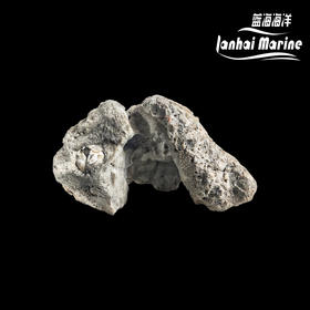 虾虎，鳚鱼藏身窝 代替管子 鱼虾窝 鱼儿藏身躲避屋 石头摆件