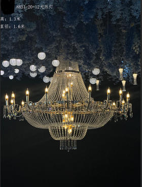 8851-20+12大吊灯（运费自理）