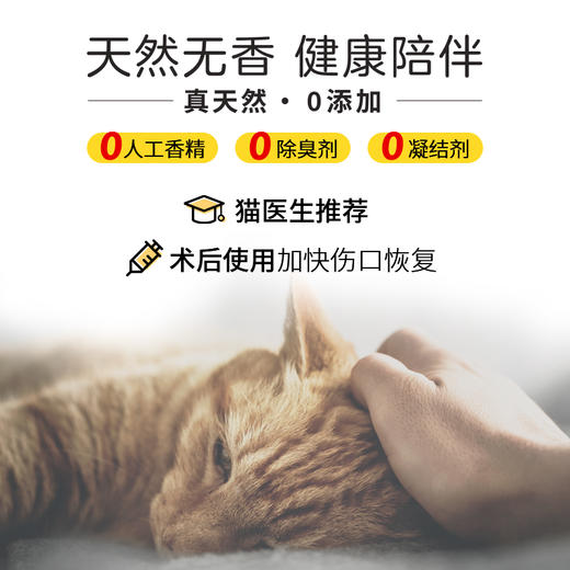 【限时特惠价】埃尔西博士Dr.Elsey's进口多猫强效蓝标猫砂  除臭膨润矿砂  快速结团  20磅一箱用一个月 商品图2
