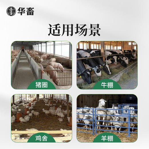 华畜蚊香养殖场专用兽用盘香畜牧蚊香猪场牛羊圈鸡舍驱蚊户外蚊香 商品图5