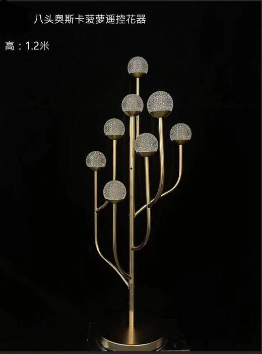 遥控菠萝花器（运费自理） 商品图0