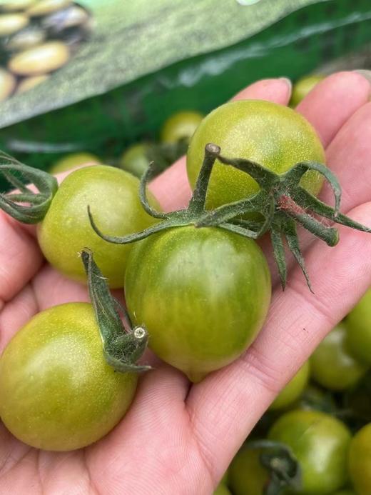 超甜青口小番茄2斤 商品图1