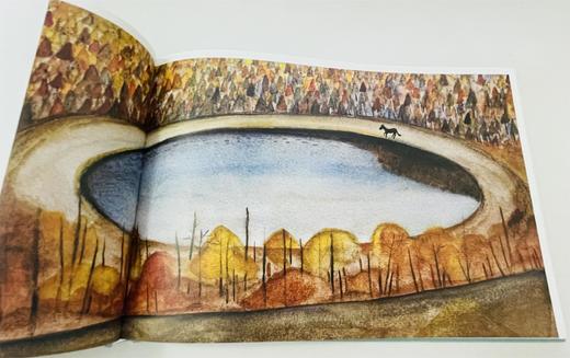 纯粹· 我在所有的秘密里爱你  蓝蓝/著 商品图2