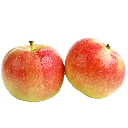 【营养丰富！山东小鲁丽苹果】新鲜采摘 产地直发！果肉香甜 咔嚓脆爽！3/9斤脆甜多汁糖心小苹果新鲜水果非维纳斯Y 商品图4